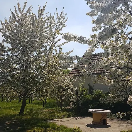 Gyuemoelcsoes Vendeghaz, Poroszlo, Tisza-to - Fruit Orchard Guest House, Poroszlo, Tisza Poroszlo